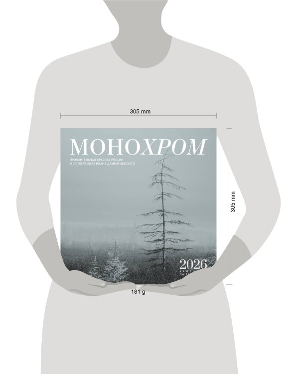 Монохром. Пронзительная красота России в фотографиях Ивана Дементиевского. Календарь настенный на 16 месяцев на 2026 год (300х300 мм)