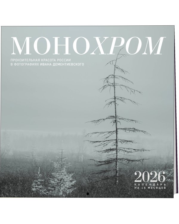 Монохром. Пронзительная красота России в фотографиях Ивана Дементиевского. Календарь настенный на 16 месяцев на 2026 год (300х300 мм)