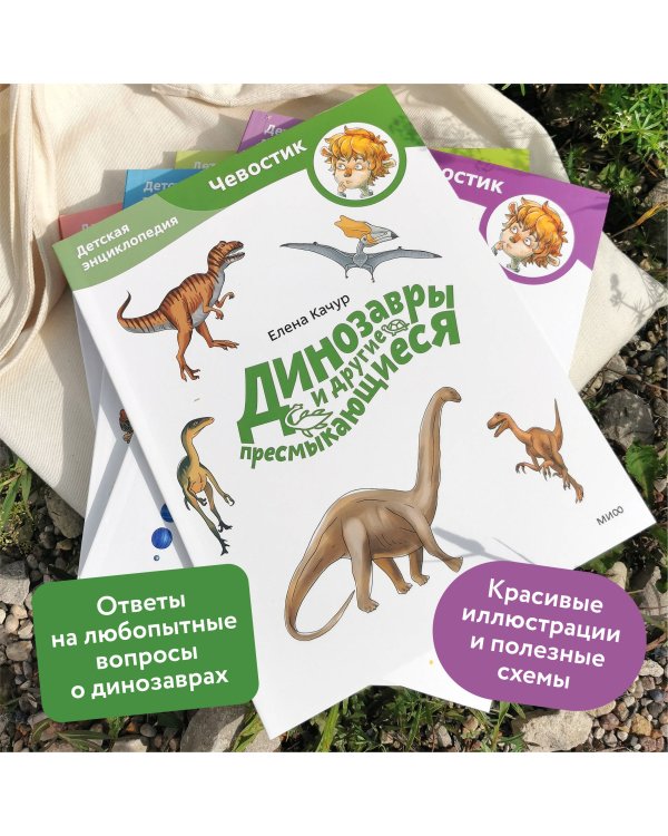 Динозавры и другие пресмыкающиеся. Детская энциклопедия (Чевостик) (Paperback)