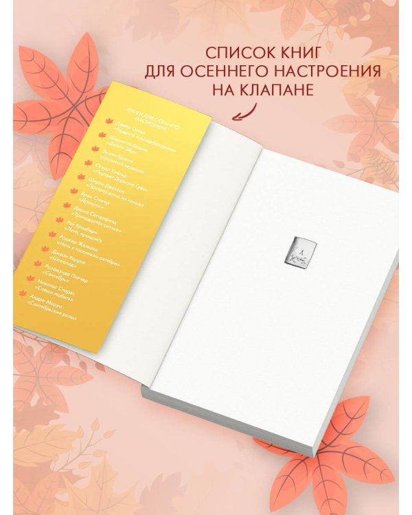 Принц из книжного