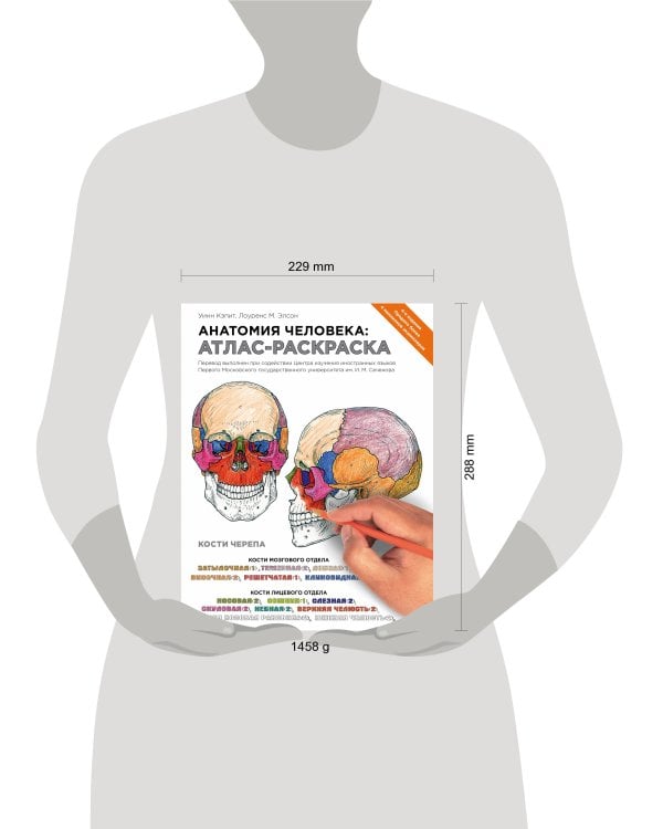 Анатомия человека: атлас-раскраска
