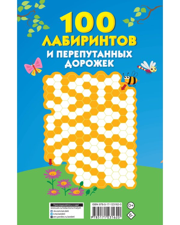 100 лабиринтов и перепутанных дорожек