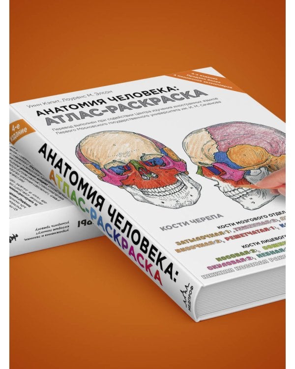 Анатомия человека: атлас-раскраска