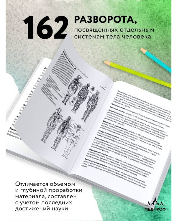 Анатомия человека: атлас-раскраска