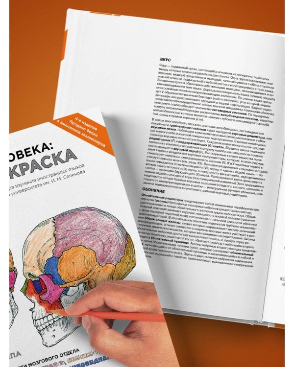 Анатомия человека: атлас-раскраска