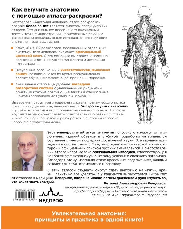 Анатомия человека: атлас-раскраска