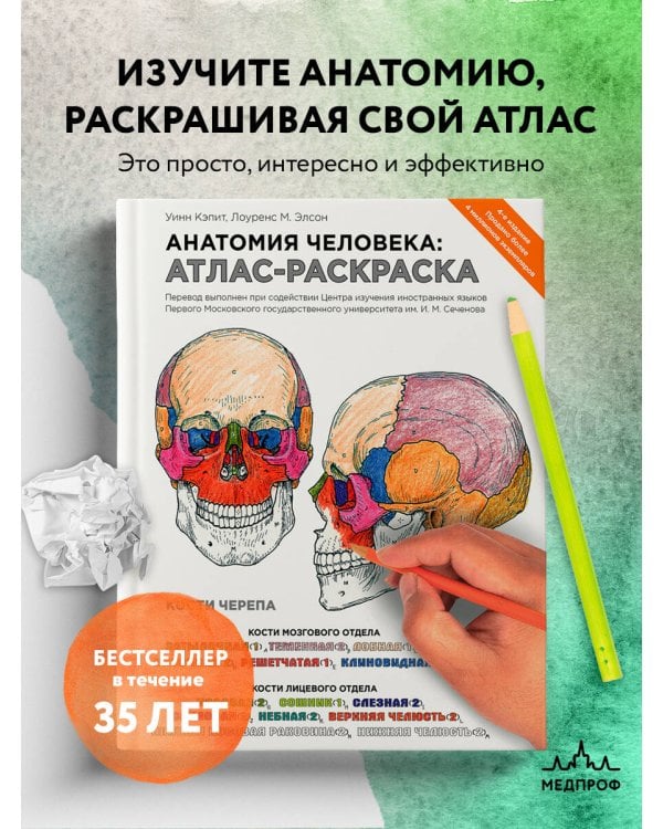 Анатомия человека: атлас-раскраска