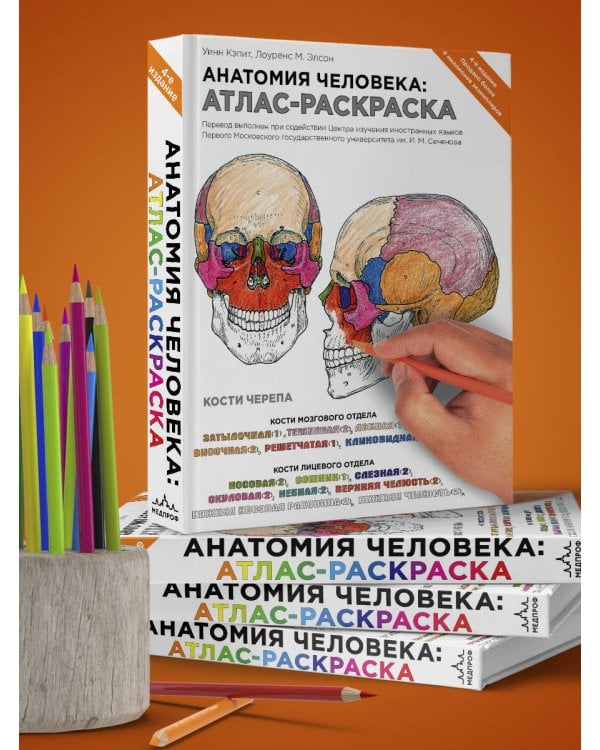 Анатомия человека: атлас-раскраска