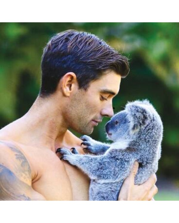 Все мужчины мира