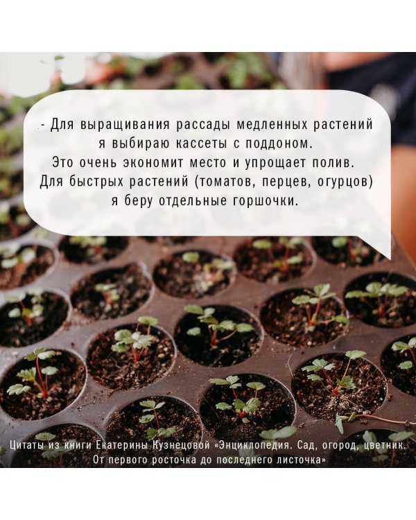 Сад, огород, цветник. От первого росточка до последнего листочка