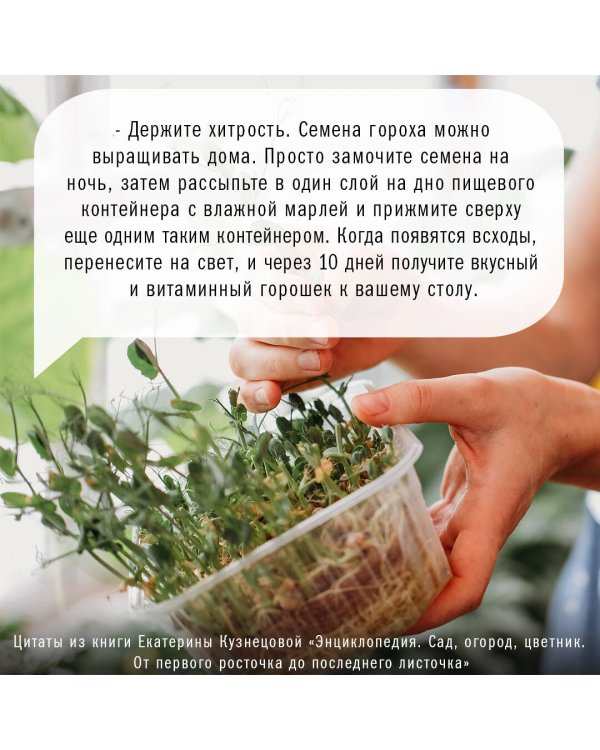 Сад, огород, цветник. От первого росточка до последнего листочка