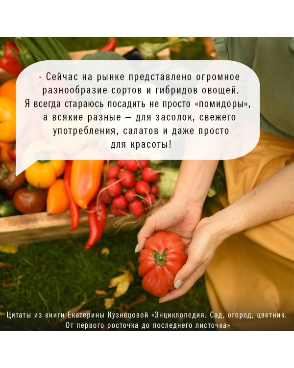 Сад, огород, цветник. От первого росточка до последнего листочка