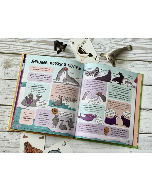 Звери. От броненосца до зебры: самые невероятные факты, рекорды и достижения