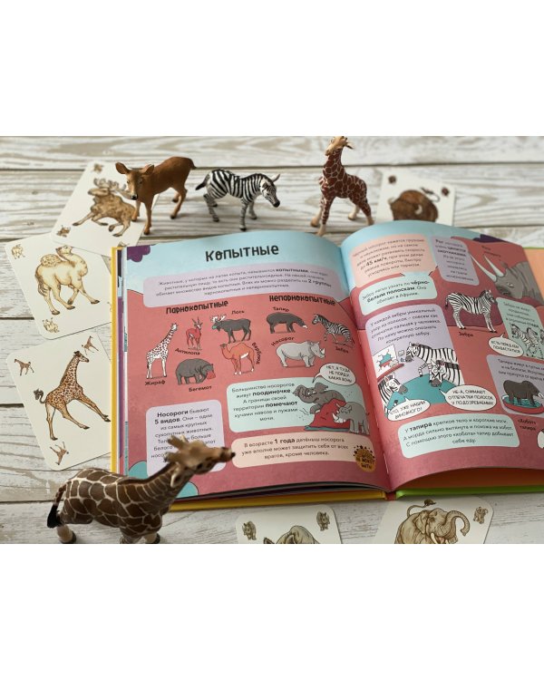 Звери. От броненосца до зебры: самые невероятные факты, рекорды и достижения