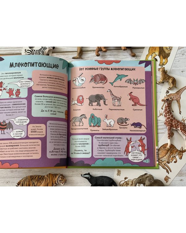 Звери. От броненосца до зебры: самые невероятные факты, рекорды и достижения