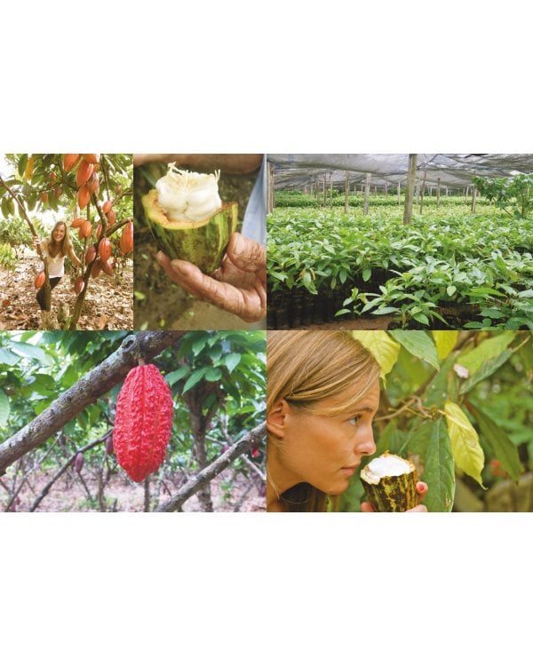 Шоколандия. Секреты шоколада и лучшие рецепты для домашней кухни