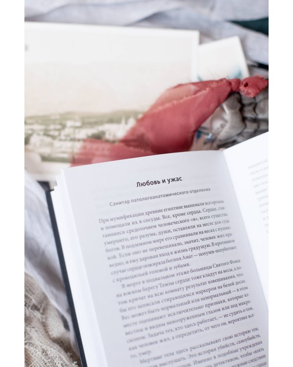 О дивный тленный мир. Когда смерть — дело жизни