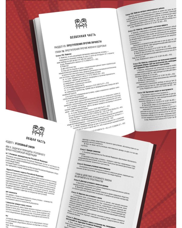 Уголовный кодекс Российской Федерации. Редакция 2025. Young adult