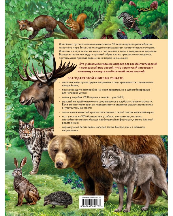 Жизнь животных России. Познавательная иллюстрированная энциклопедия
