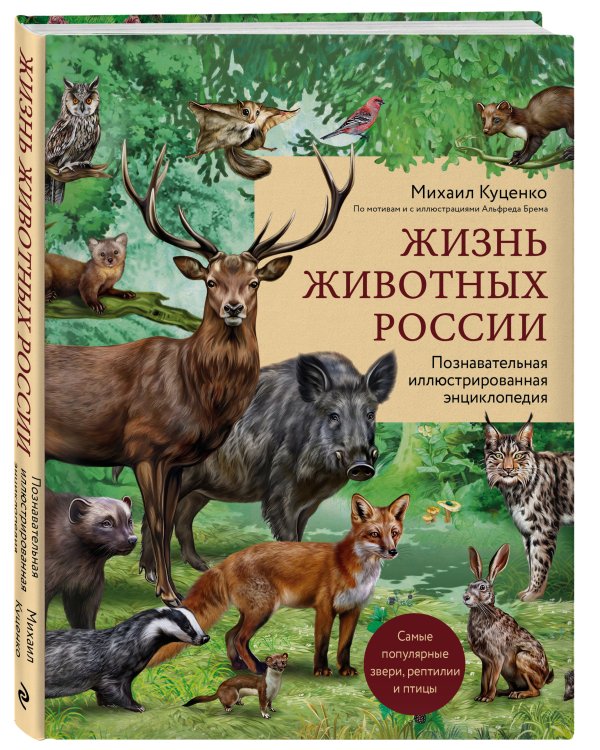 Жизнь животных России. Познавательная иллюстрированная энциклопедия