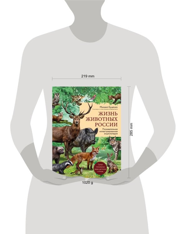 Жизнь животных России. Познавательная иллюстрированная энциклопедия