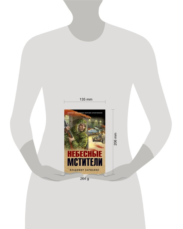 Небесные мстители