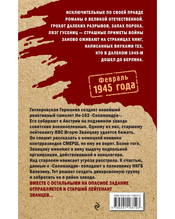 Небесные мстители