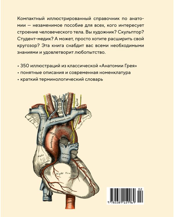 Анатомия: С иллюстрациями из классической «Анатомии Грея»