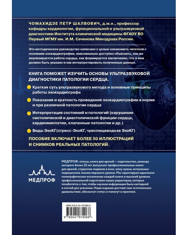 Эхокардиография для начинающих. Суть гемодинамических нарушений, позиции для анализа, определение тяжести порока