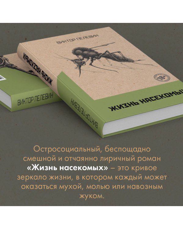 Жизнь насекомых