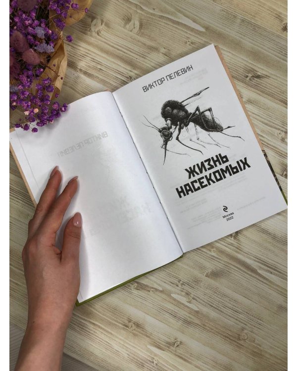 Жизнь насекомых