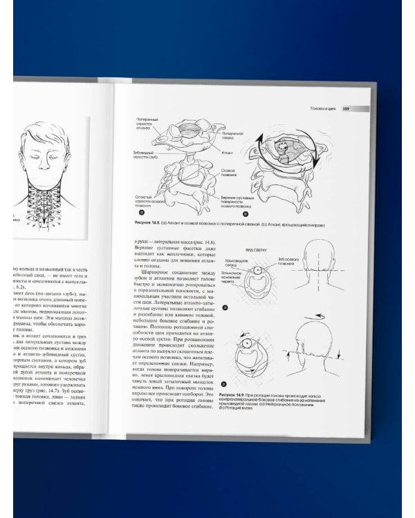 Метод Франклина. Динамическое выравнивание через образы, идеальная осанка и виртуозное владение телом.
