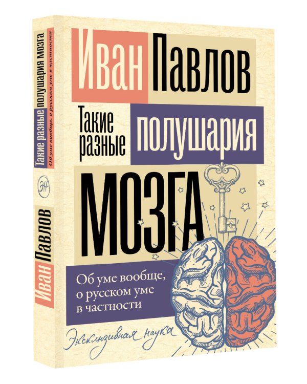 Такие разные полушария мозга. Об уме вообще, о русском уме в частности
