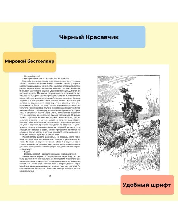 Чёрный Красавчик