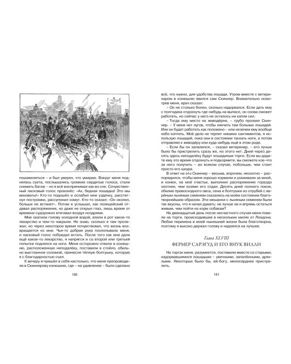 Чёрный Красавчик