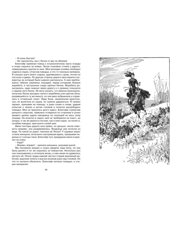 Чёрный Красавчик