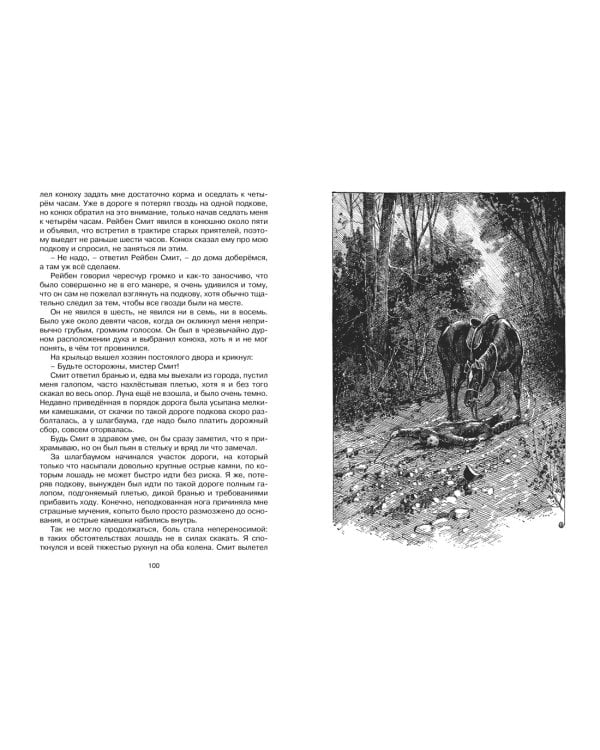 Чёрный Красавчик