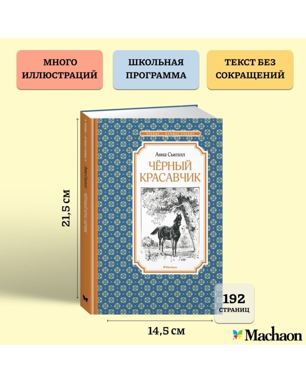 Чёрный Красавчик