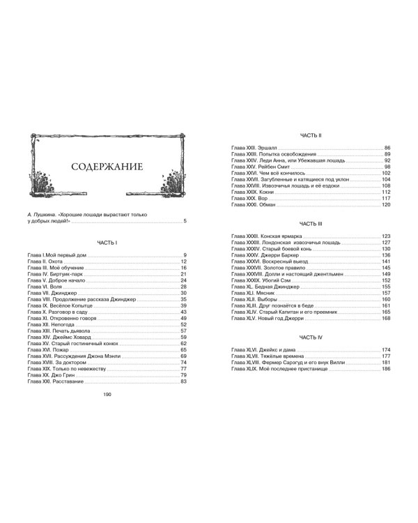 Чёрный Красавчик