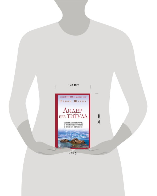Лидер без титула. Современная притча о настоящем успехе в жизни и в бизнесе