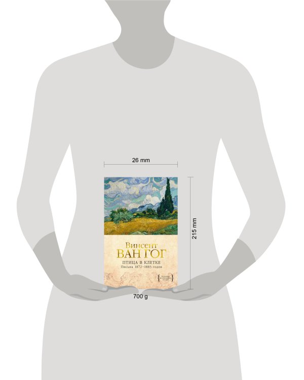 Птица в клетке. Письма 1872–1883 годов