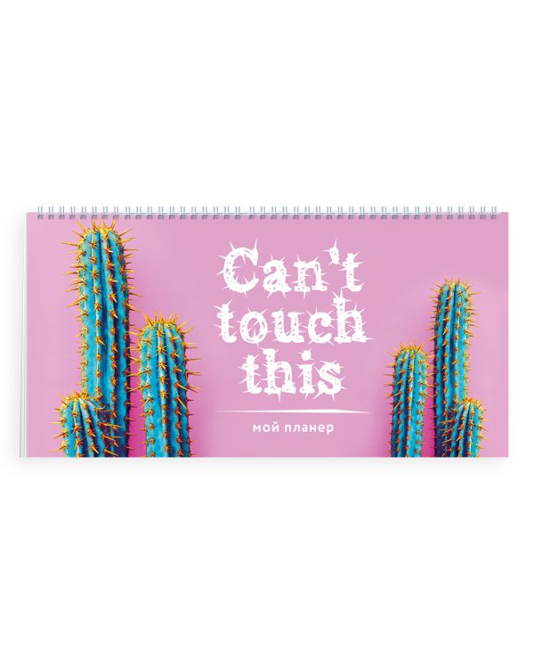 Мой планер. Колючие кактусы: Can't touch this (мини на навивке)