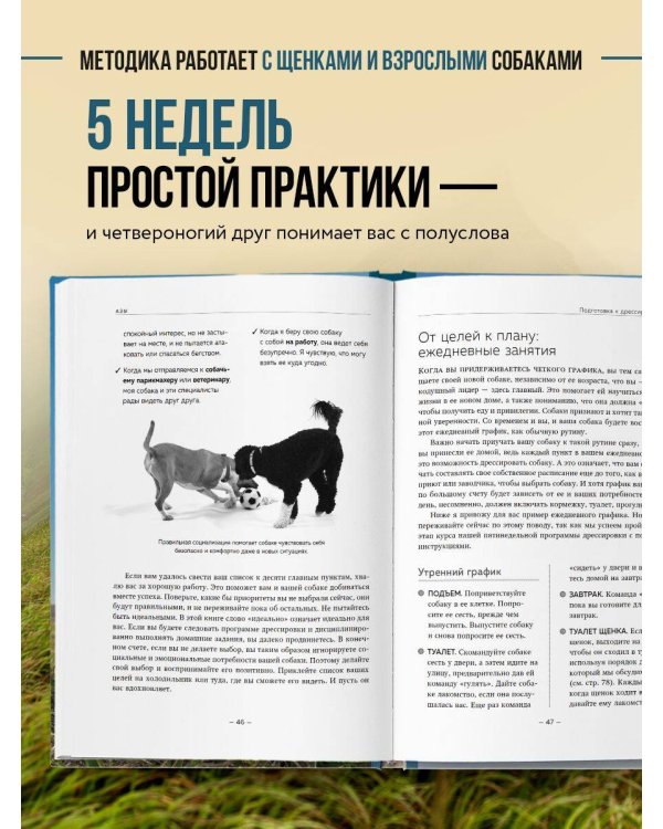 Дрессировка без наказания. 5 недель, которые сделают вашу собаку лучшей в мире
