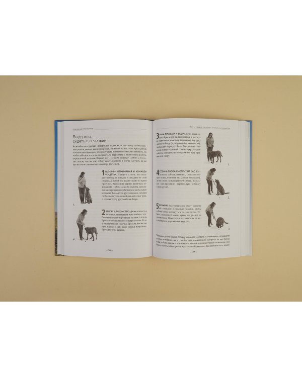 Дрессировка без наказания. 5 недель, которые сделают вашу собаку лучшей в мире