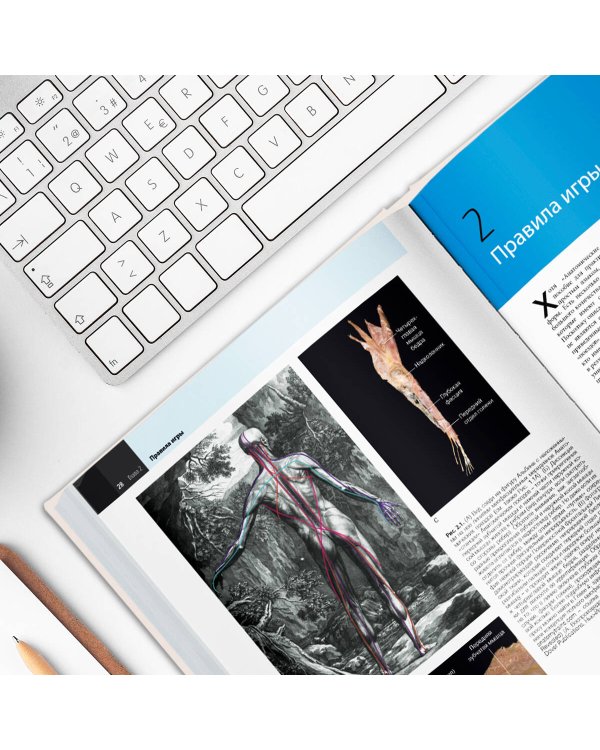 Анатомические поезда. 4-е издание