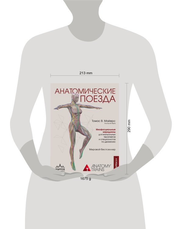 Анатомические поезда. 4-е издание