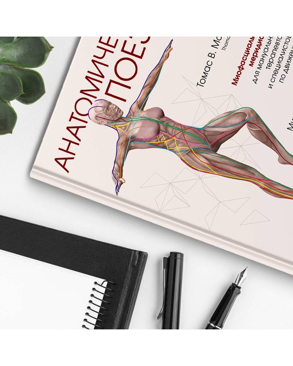 Анатомические поезда. 4-е издание