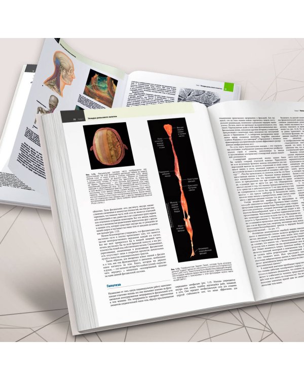 Анатомические поезда. 4-е издание