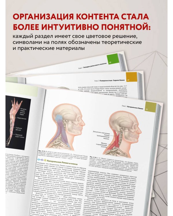 Анатомические поезда. 4-е издание