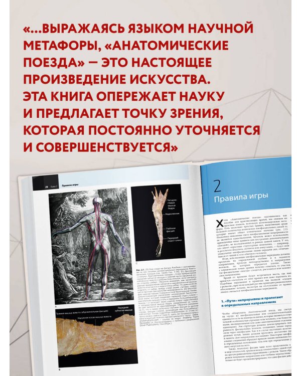 Анатомические поезда. 4-е издание